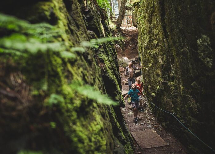 Berg Kodok   Saalbach