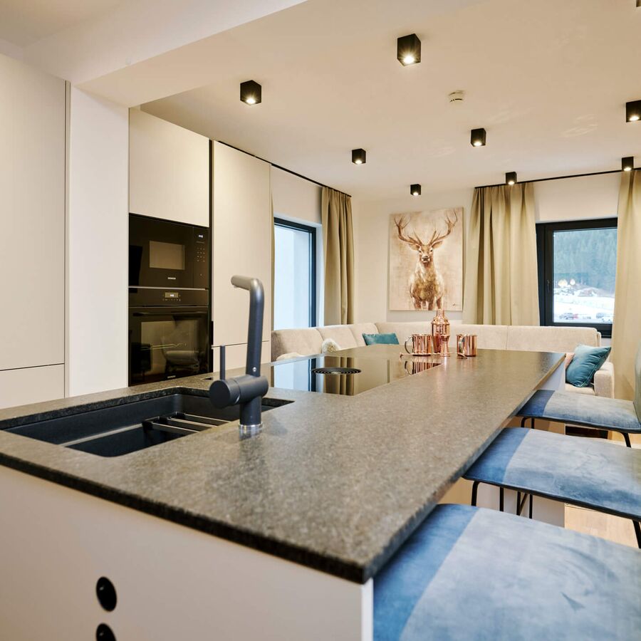 C christian horn alps resorts 2503 18