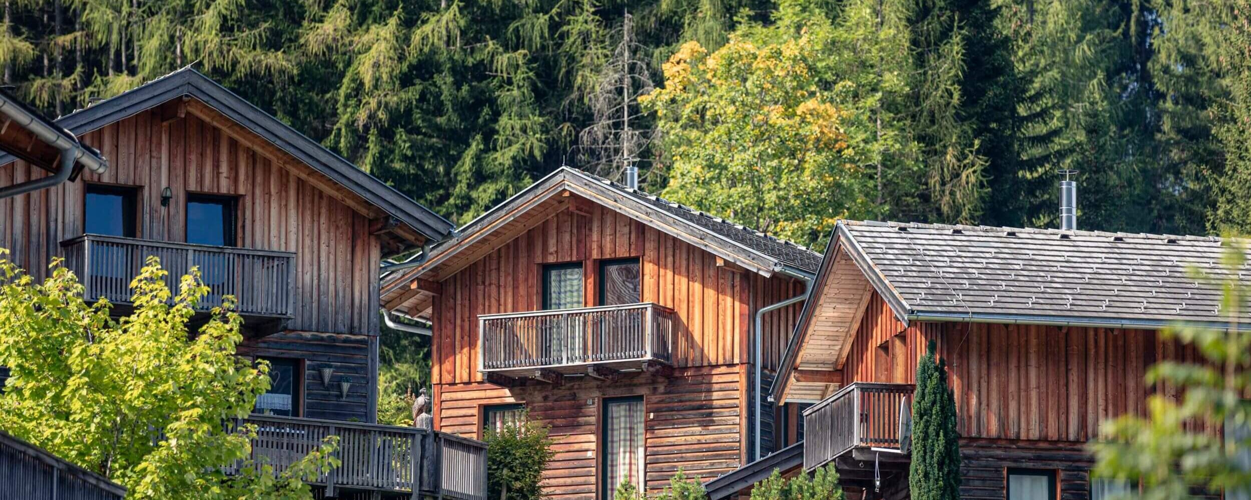 Alpendorf Dachstein West by ALPS RESORTS