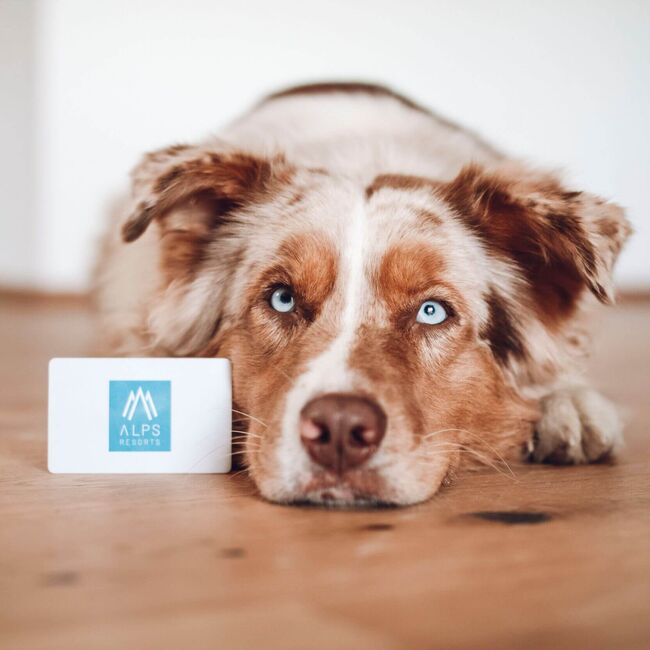 drivys adventures alps resorts 2305 36 d4bc0549