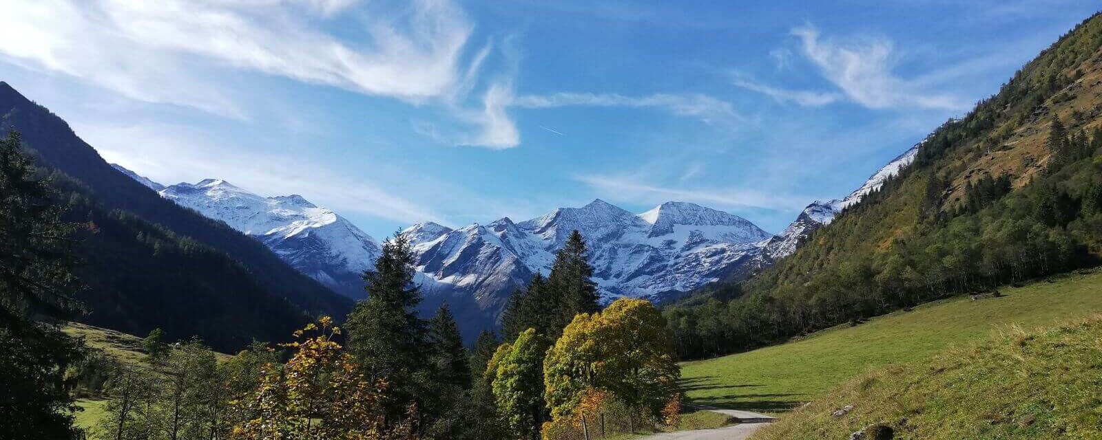 herbst kaefertal 80fdc7cf