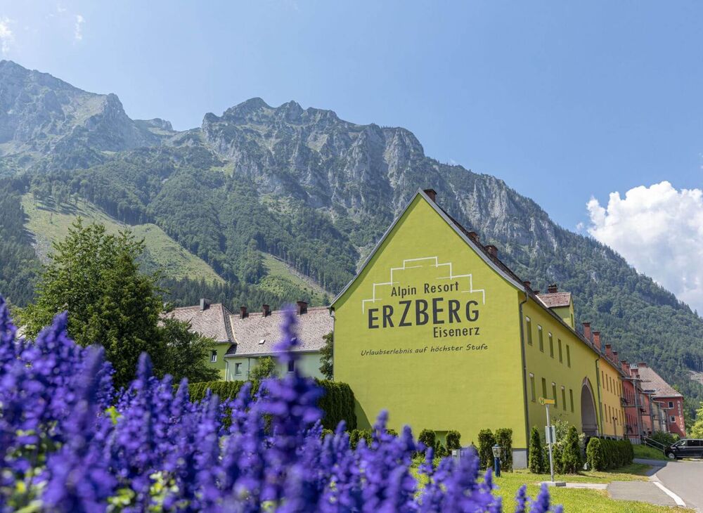 i ear fta 0722 05 5c5ed656