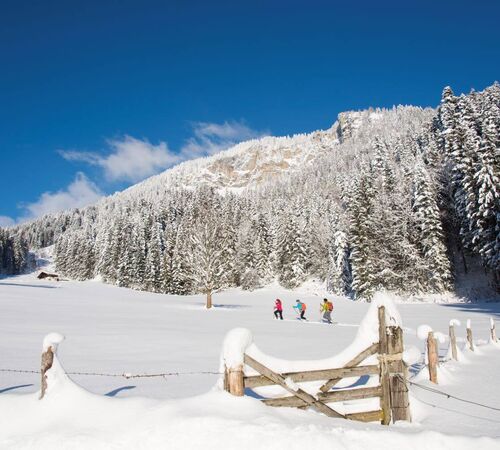 Snowshoe hike, Kitzbüheler Alpen (c) Kitzbüheler Alpen Marketing, Gerdl Franz