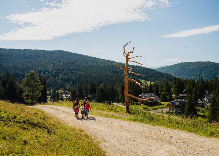 Erlebniswanderweg Wildes Lachtal