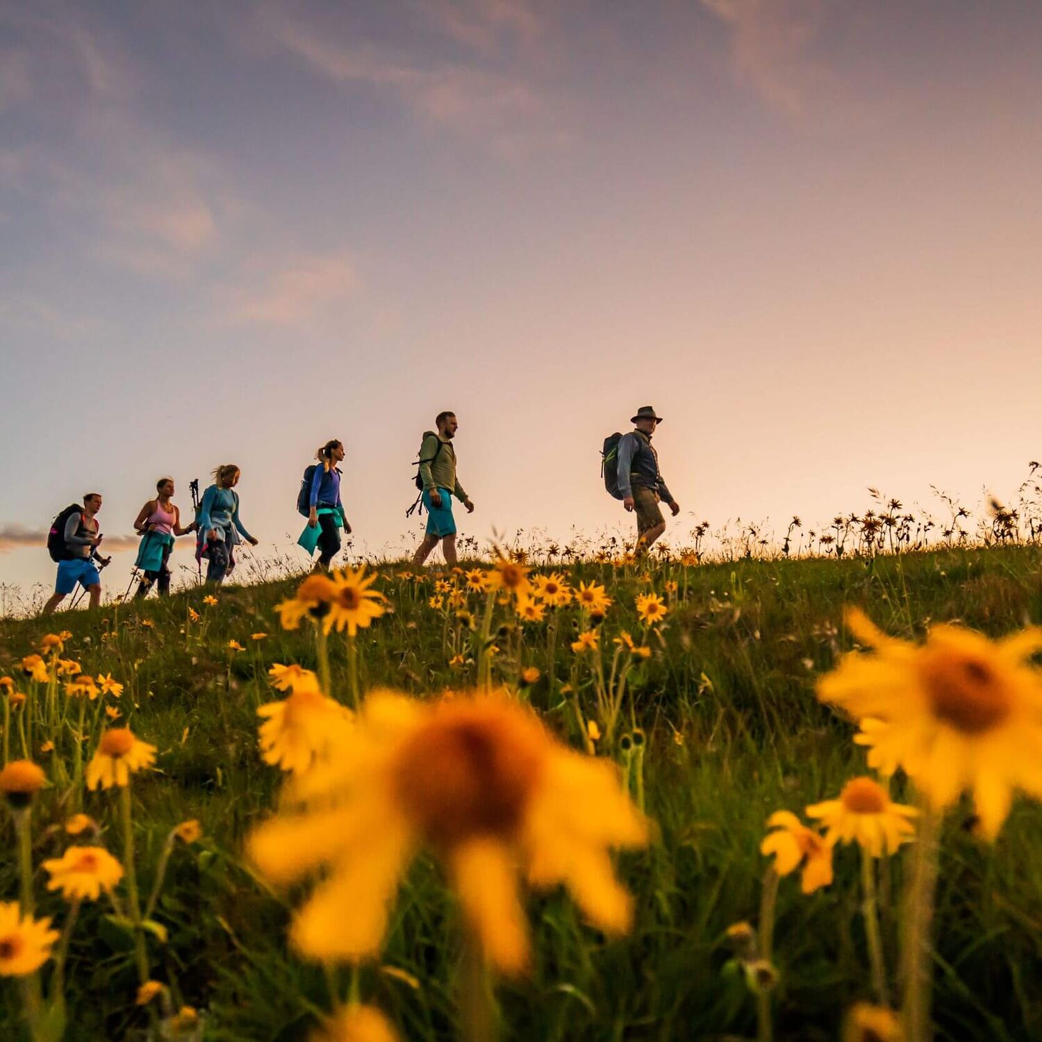 Almbutler auf der Turracher Höhe beim Wandern