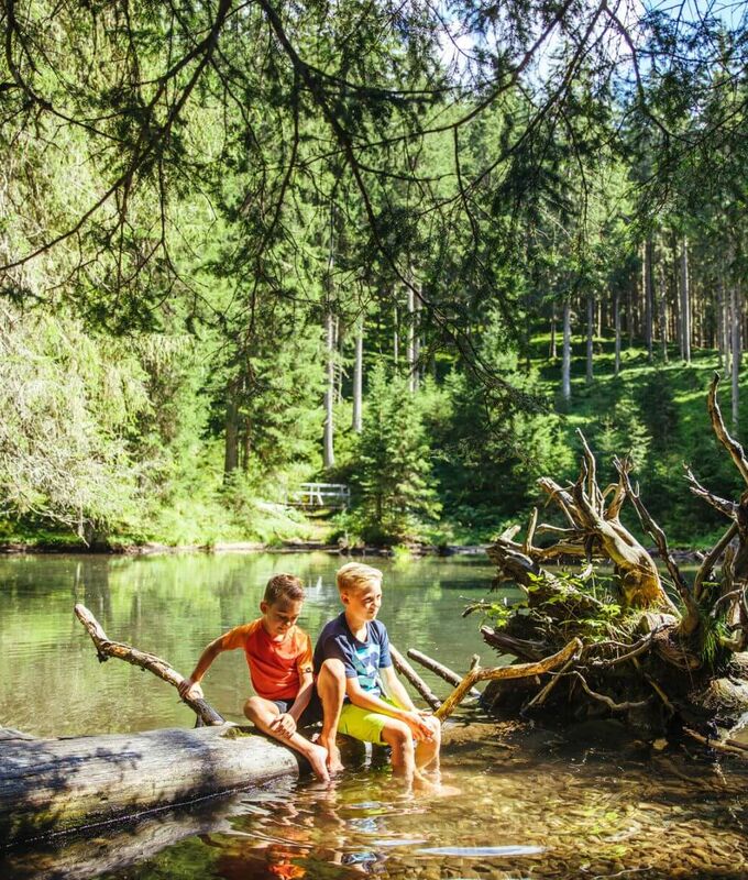 2 Jungen sitzen auf einem Baumstamm im Waldteich