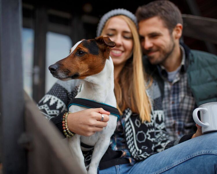 Urlaub mit Hund im Chalet