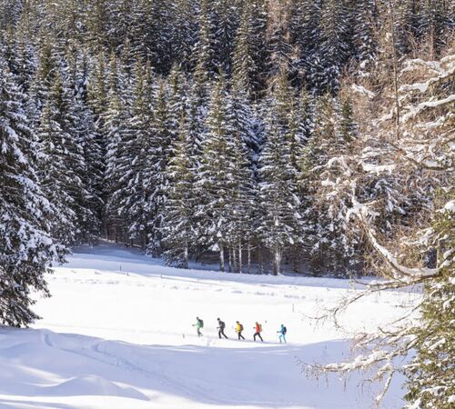 snowshoe hiking in Kolm Saigurn, Raurisertal Valley (c) Ferienregion Nationalpark Hohe Tauern