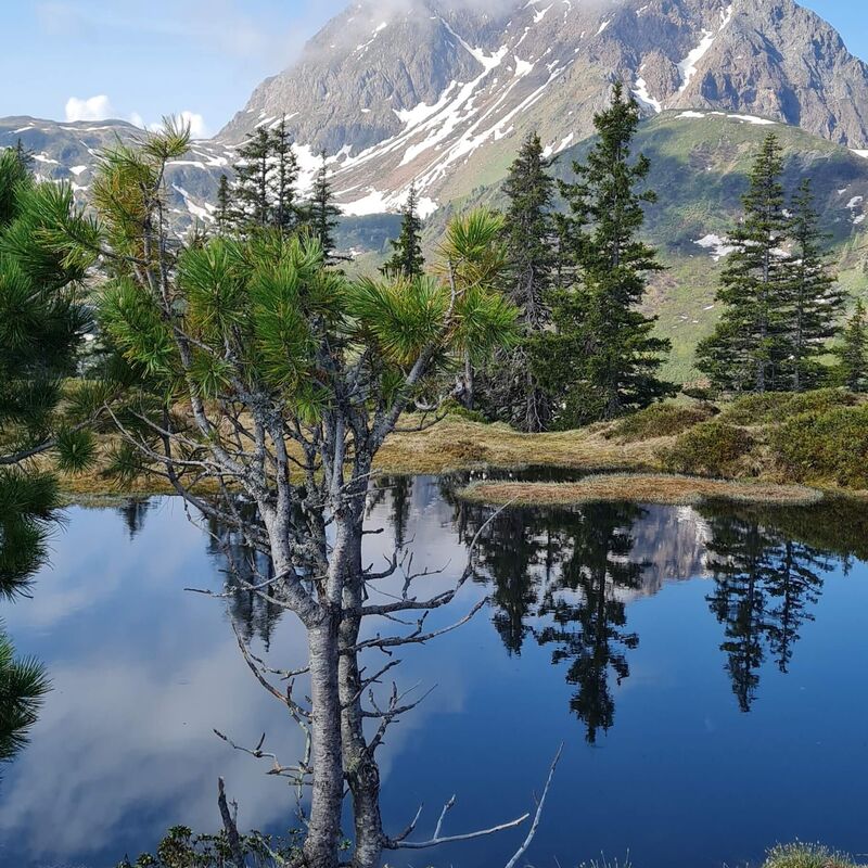 Blick auf den Großen Rettenstein von der Hirzegglacke