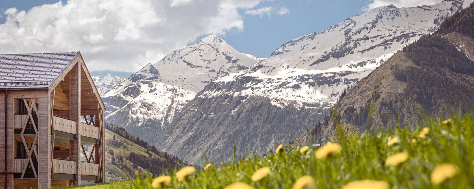 Alpen Wiese mit gelben Blumen, Berge mit schneebedeckten Gipfeln und die Ferienwohnungen Carpe Solem Rauris mit modernen und traditionellen Holzbalkonen