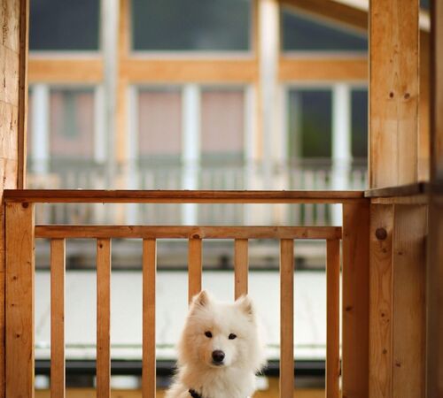 izc alps resorts 2306 04 23379c15