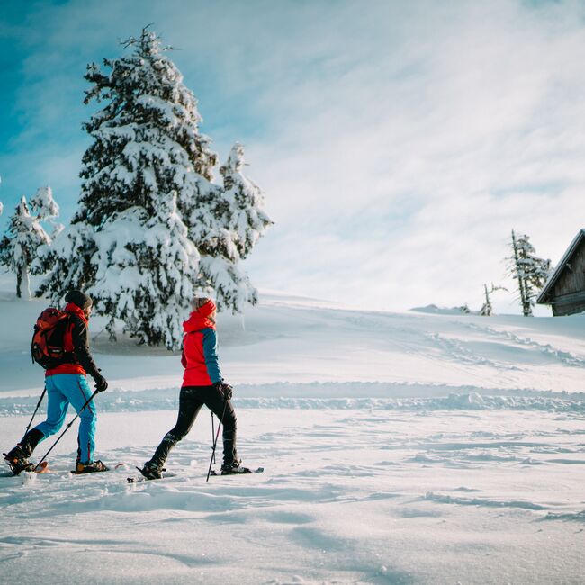 00000064205 Schneeschuhwandern im Naturpark Dobratsch Region Villach Tourismus GmbH Martin Hofmann 46dd3e3a
