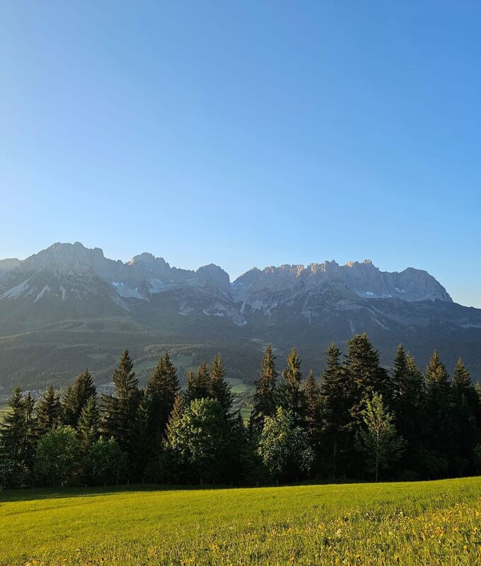 Der Wilde Kaiser an einem Sommertag, im Vordergrund die gemähte Wiese.