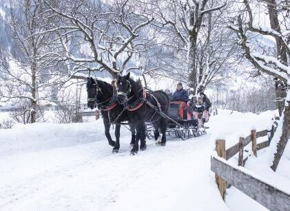 horse drawn sleigh ride (c) TVB Rauris