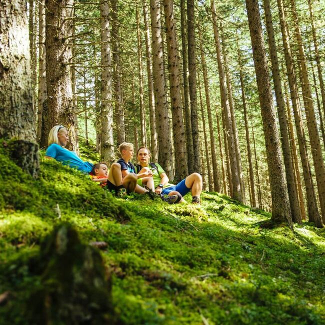 Eltern machen mit ihren 2 Kindern Rast am bemoosten Waldboden.