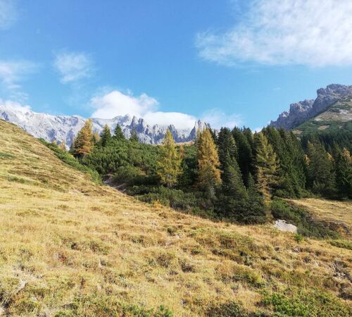 wandern hochkoenig ab321968