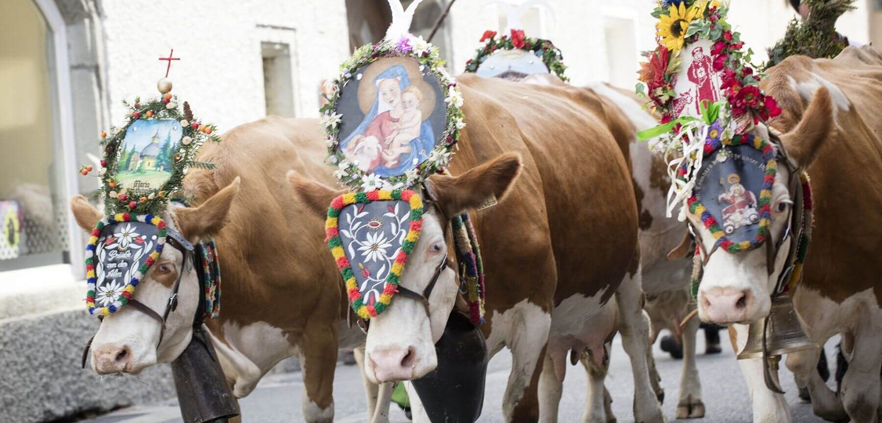 rauris almabtrieb%28c%29tvb%20rauris fotograf%20florian%20bachmeier 2e9c2c3f