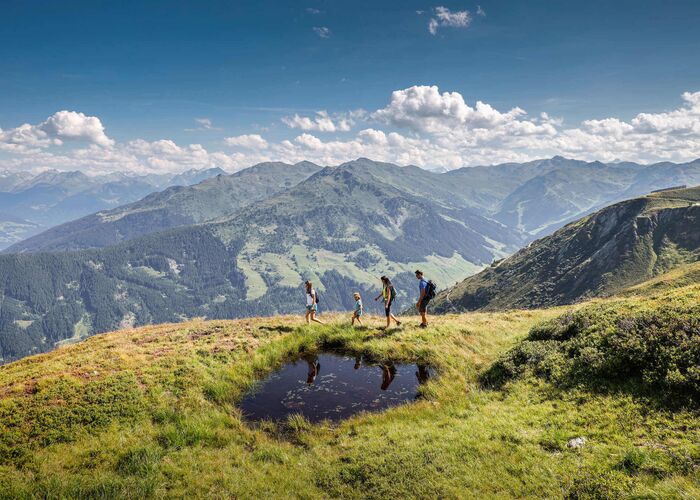 Eine Familie wandert in hochalpiner Umgebung mit grün bewachsenen Berghängen und Panoramablick auf die Zillertaler Alpen