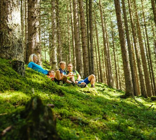 Eltern machen mit ihren 2 Kindern Rast am bemoosten Waldboden.