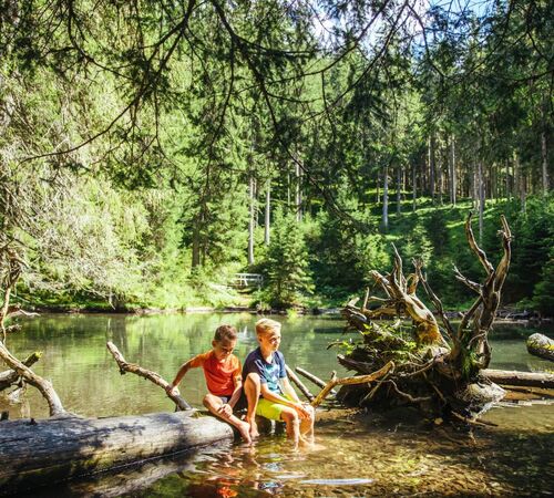 2 boys sitting on a tree trunk in the forest pond