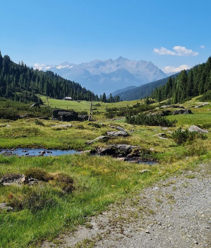 Ausblick von der Filzenscharte auf die Hohen Tauern