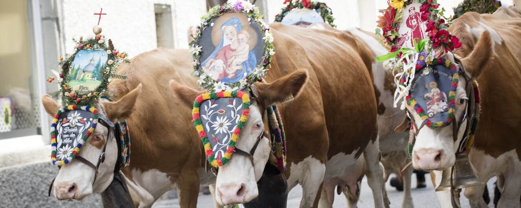 rauris almabtrieb%28c%29tvb%20rauris fotograf%20florian%20bachmeier 5ddfc69d
