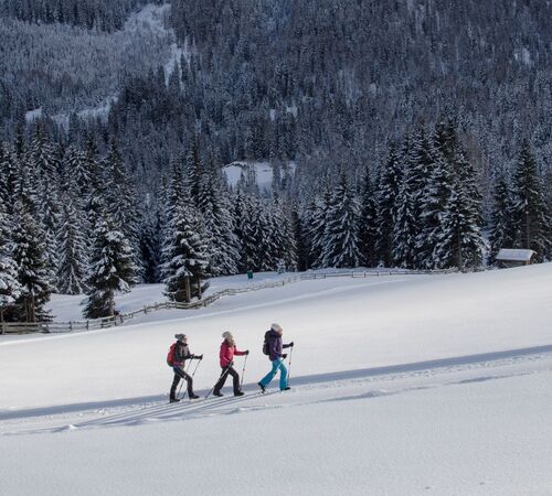 Winterwandern %28c%29%20TVB%20Wipptal 8d9872ce