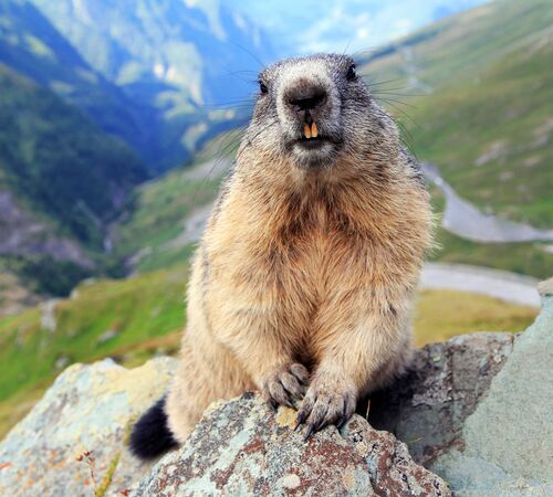 istock 874561050 c istock astrid860 048b1b8c