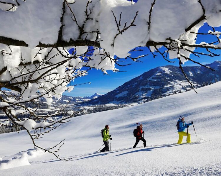 Schneeschuhwandern in Hopfgarten (c) Kitzbüheler Alpen Marketing, Eisele Hein-Norbert