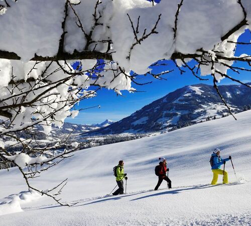 Snowshoe hiking in Hopfgarten (c) Kitzbüheler Alpen Marketing, Eisele Hein Norbert