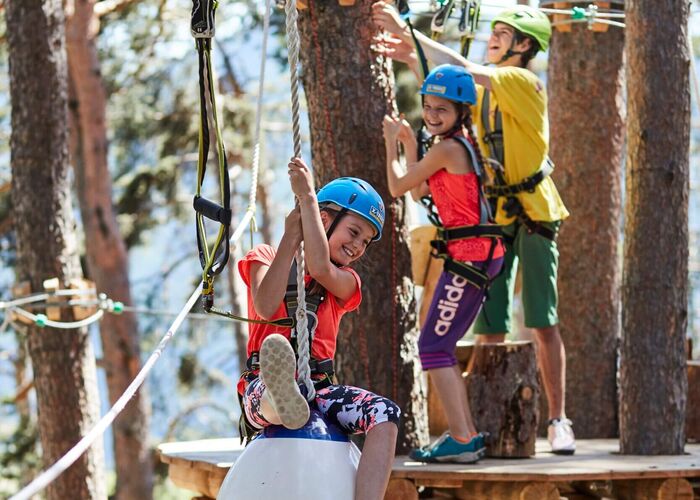 sfl x trees waldseilbpark mit kugel c patscheider sport christian waldegger 84a0d400