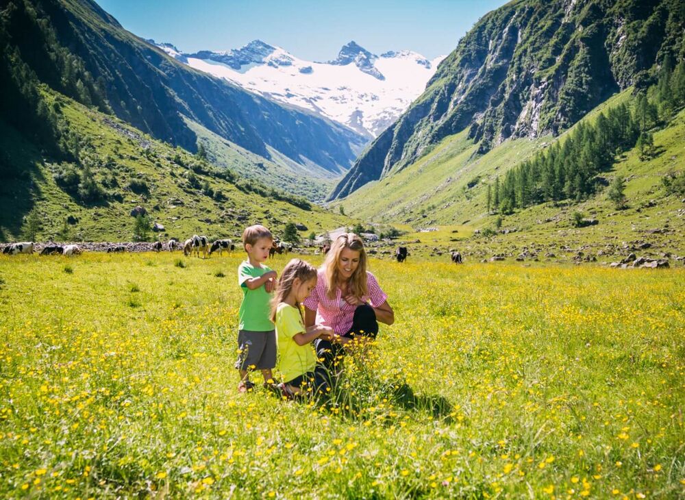 familie%20almwiese%20%C2%A9%20ferienregion%20nationalpark%20hohe%20tauern%20innerhofer e46f81fb