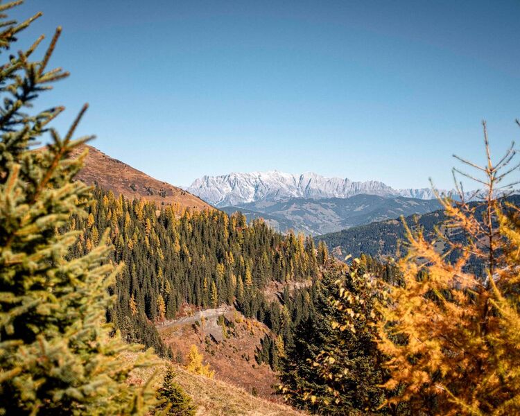 Bunte Herbstwanderung im Raurisertal