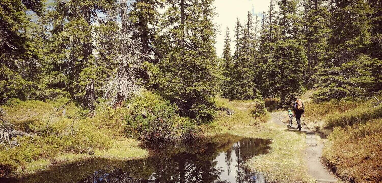 Rutschenweg Wildkogel Arena   Nationalpark Hohe Tauern