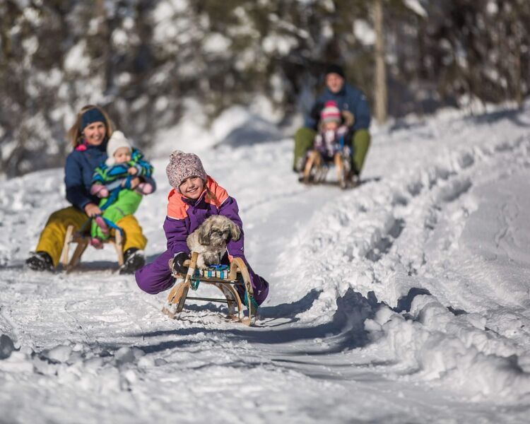 Kind mit Hund auf dem Schlitten beim Rodeln
