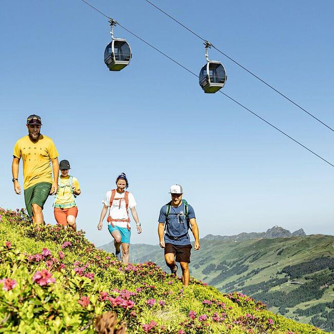 4 Freunde wandern unter einer Sommerbergbahn, im Vordergrund blühen die Almrosen.