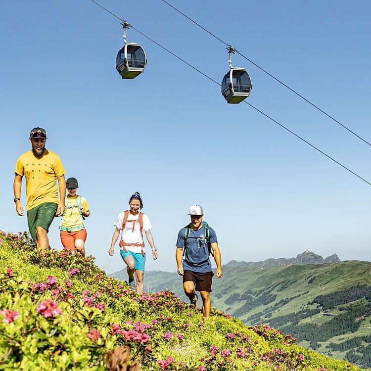 4 Freunde wandern unter einer Sommerbergbahn, im Vordergrund blühen die Almrosen.