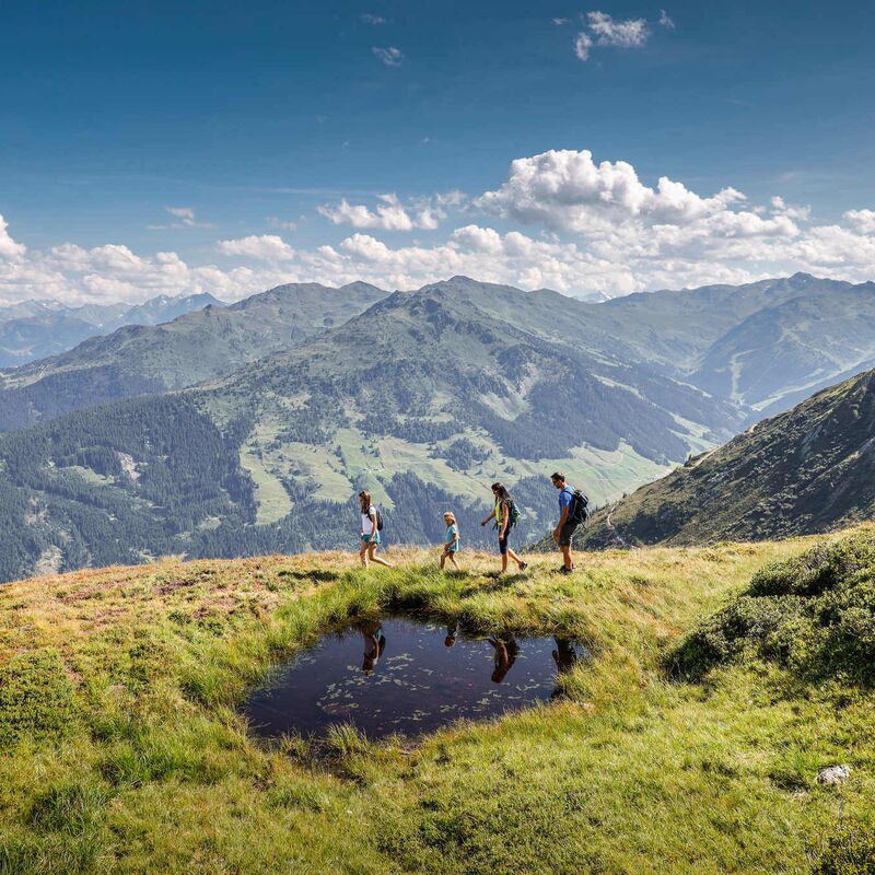 Eine Familie wandert in hochalpiner Umgebung mit grün bewachsenen Berghängen und Panoramablick auf die Zillertaler Alpen
