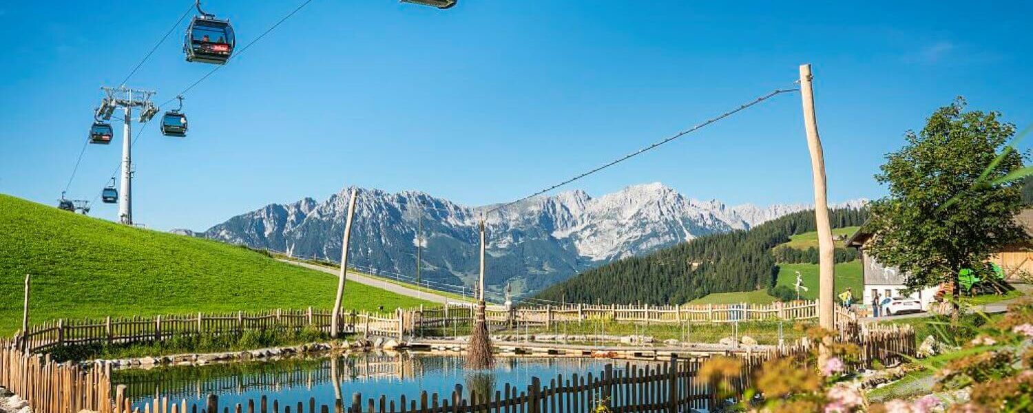 Summer mountain railway floats over a fenced in pond, with the mountain panorama in the background