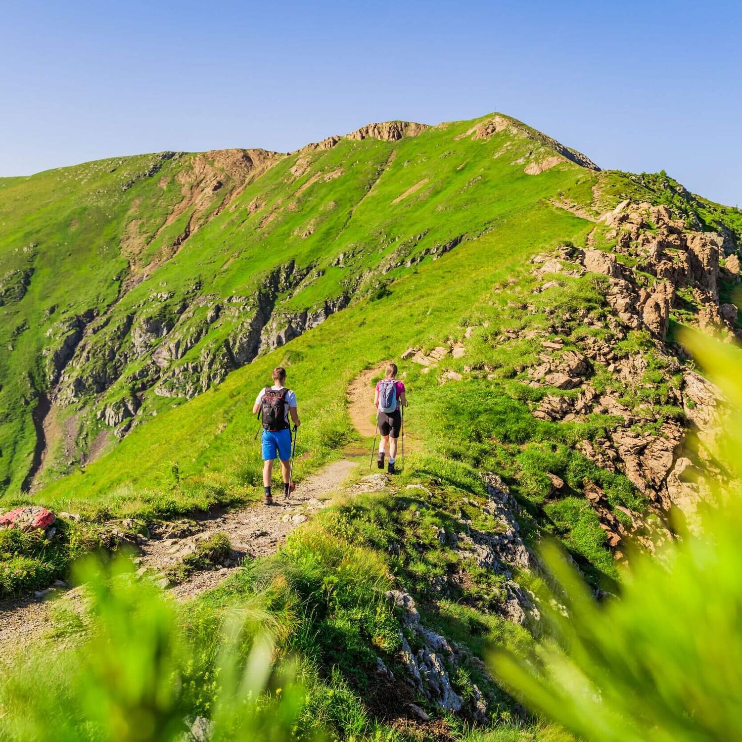 Zwei Wanderer genießen den Aufstieg über grüne Almwiesen in Kärnten