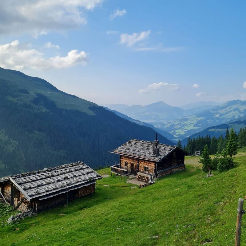 Almhütte im sommerlichen Almgebiet in den Kitzbüheler Alpen