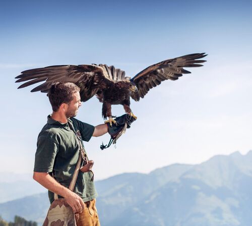 Falconer with golden eagle in front of a mountain backdrop