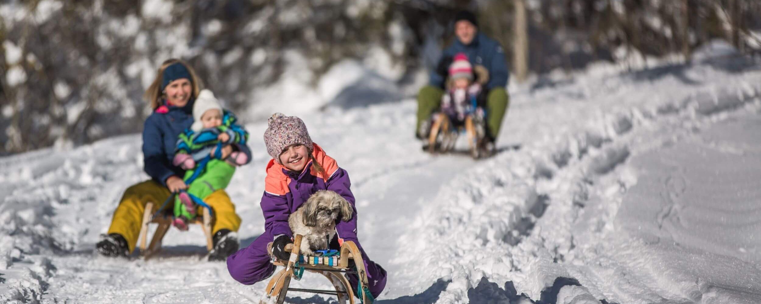 Child with dog on a sled while tobogganing
