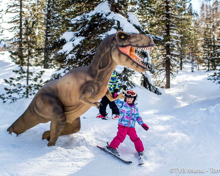 Familienfreundliches Skigebiet Kreischberg (c) TVB Murau, Tom Lamm