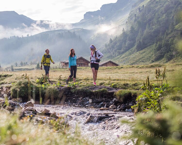 Wanderer im Raurisertal spazieren entlang eines klaren Gebirgsbaches im Nationalpark Hohe Tauern.