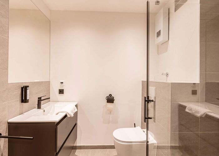 Saalbach Suites by ALPS RESORTS