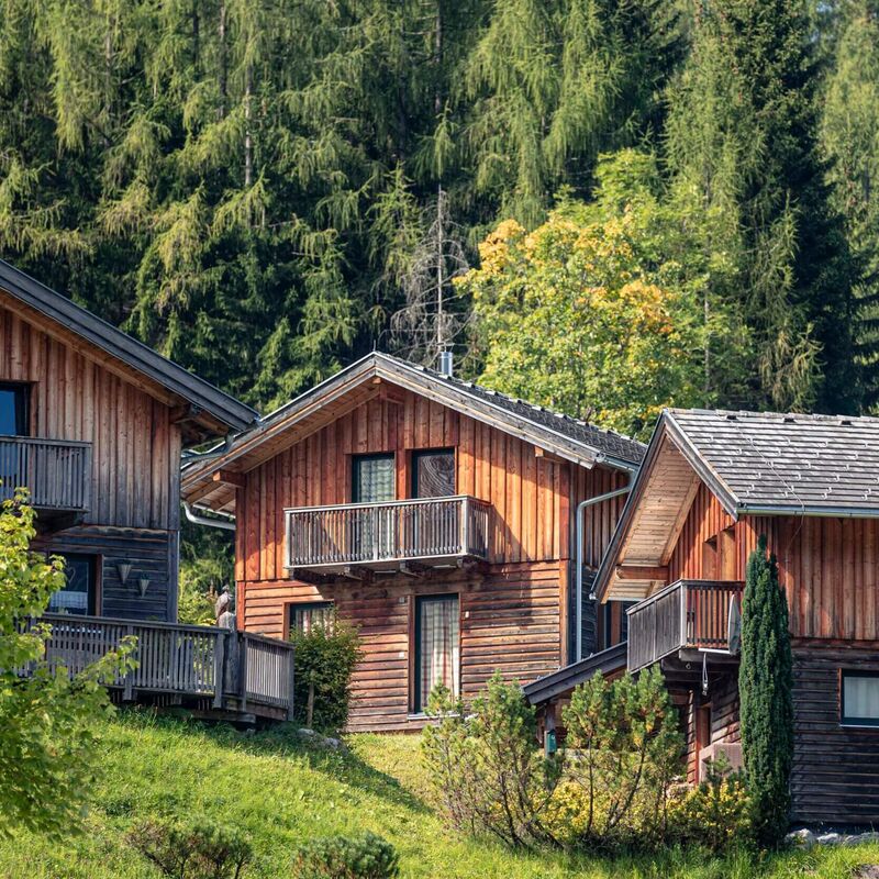 Alpendorf Dachstein West by ALPS RESORTS