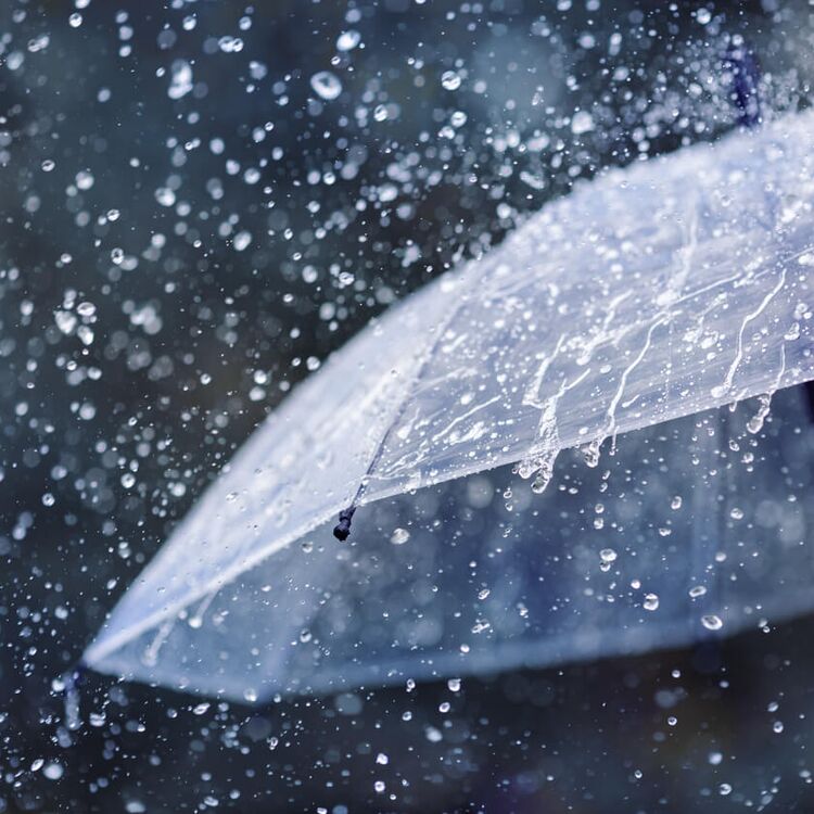Regenwetter(c)istock|julia-sudnitskaya
