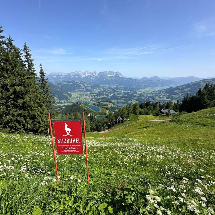 Der Startschuss auf der Streif-Wanderung im Sommer