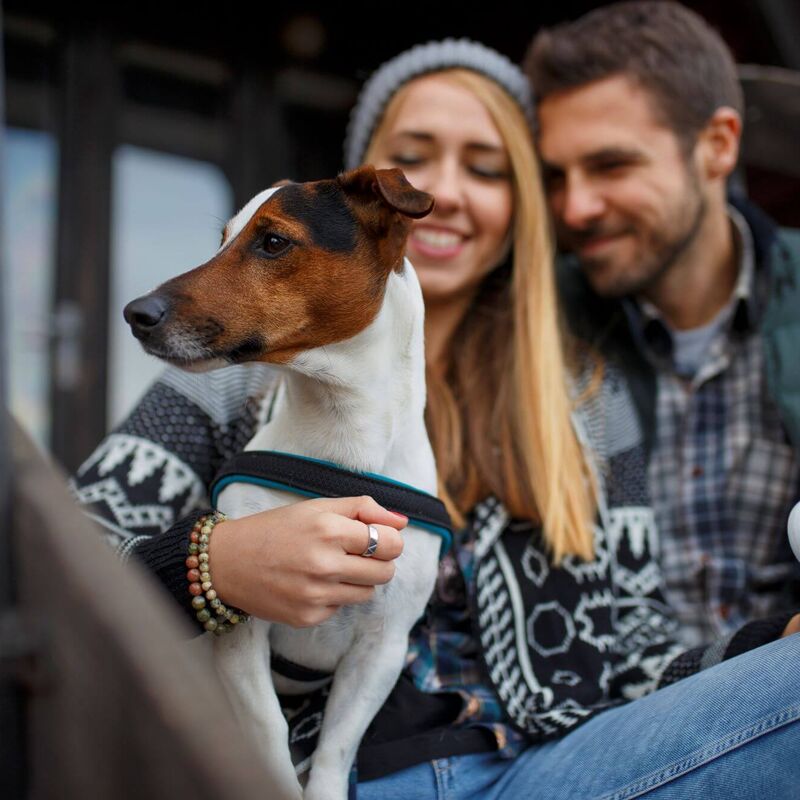 Couple on winter holiday sitting on the terrace, holding the dog in their laps and enjoying a warming hot drink